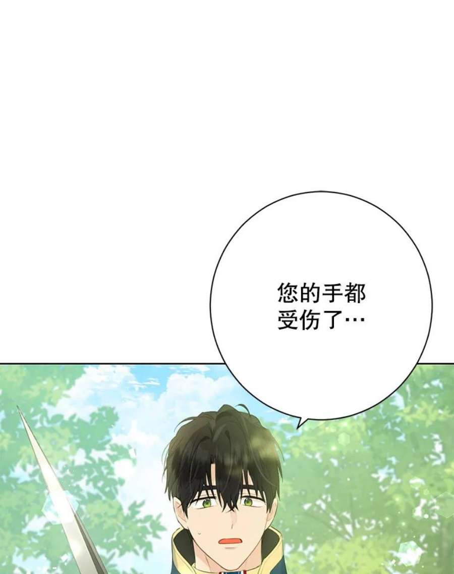 真与假的精灵师少女42.骑士的守护