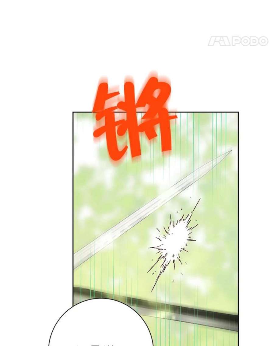 真与假的精灵师少女42.骑士的守护