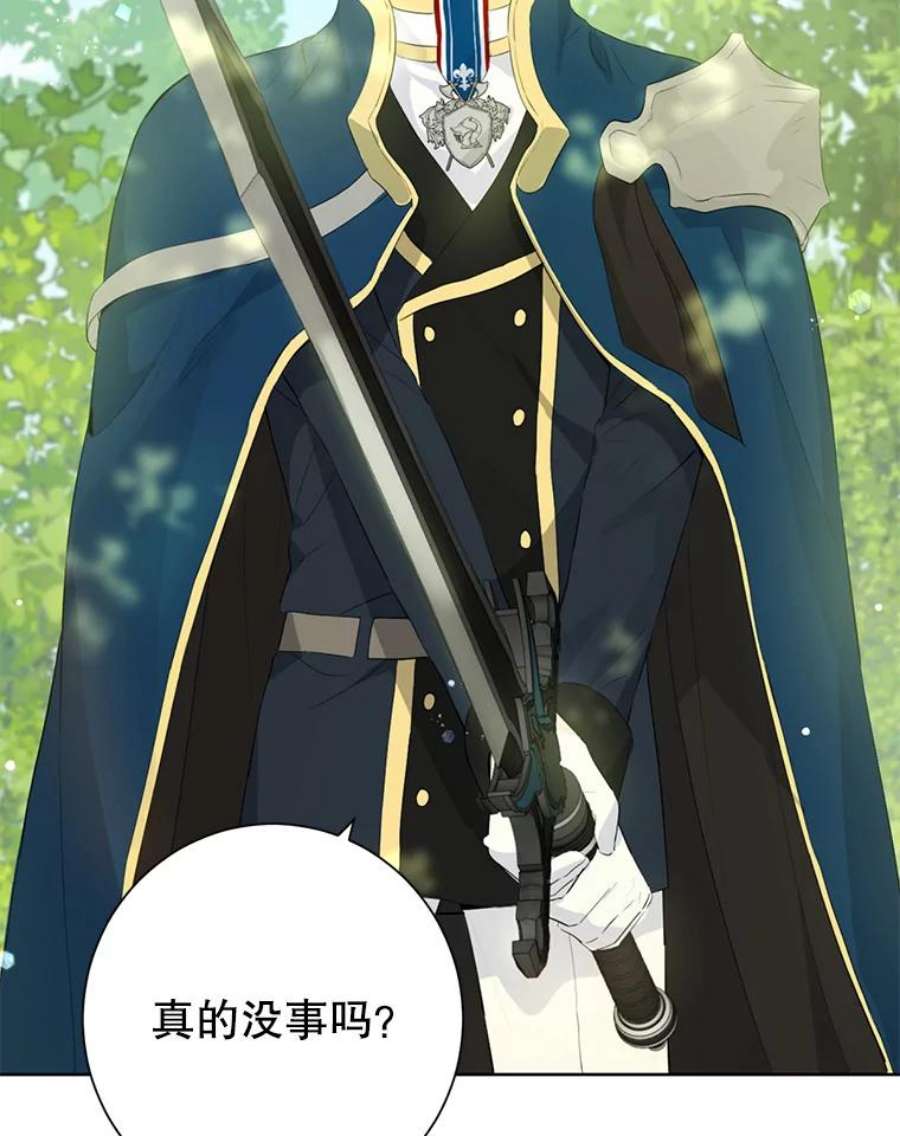 真与假的精灵师少女42.骑士的守护