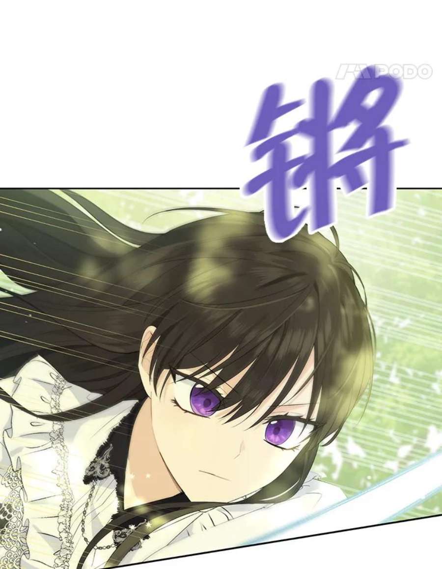 真与假的精灵师少女42.骑士的守护