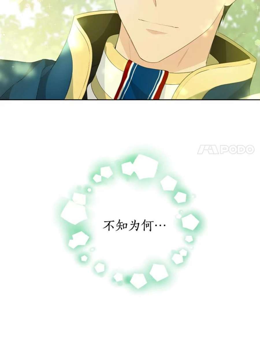 真与假的精灵师少女42.骑士的守护