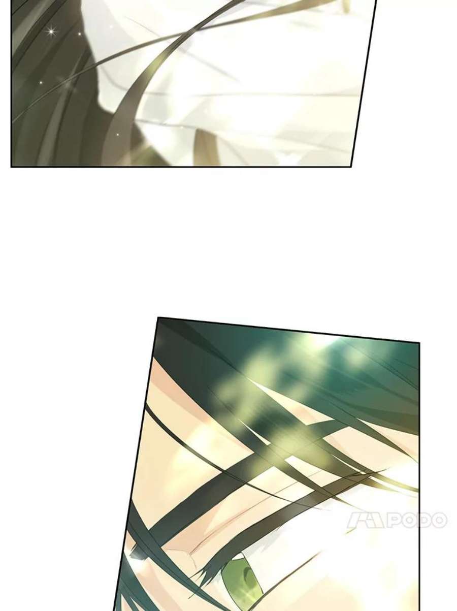 真与假的精灵师少女42.骑士的守护