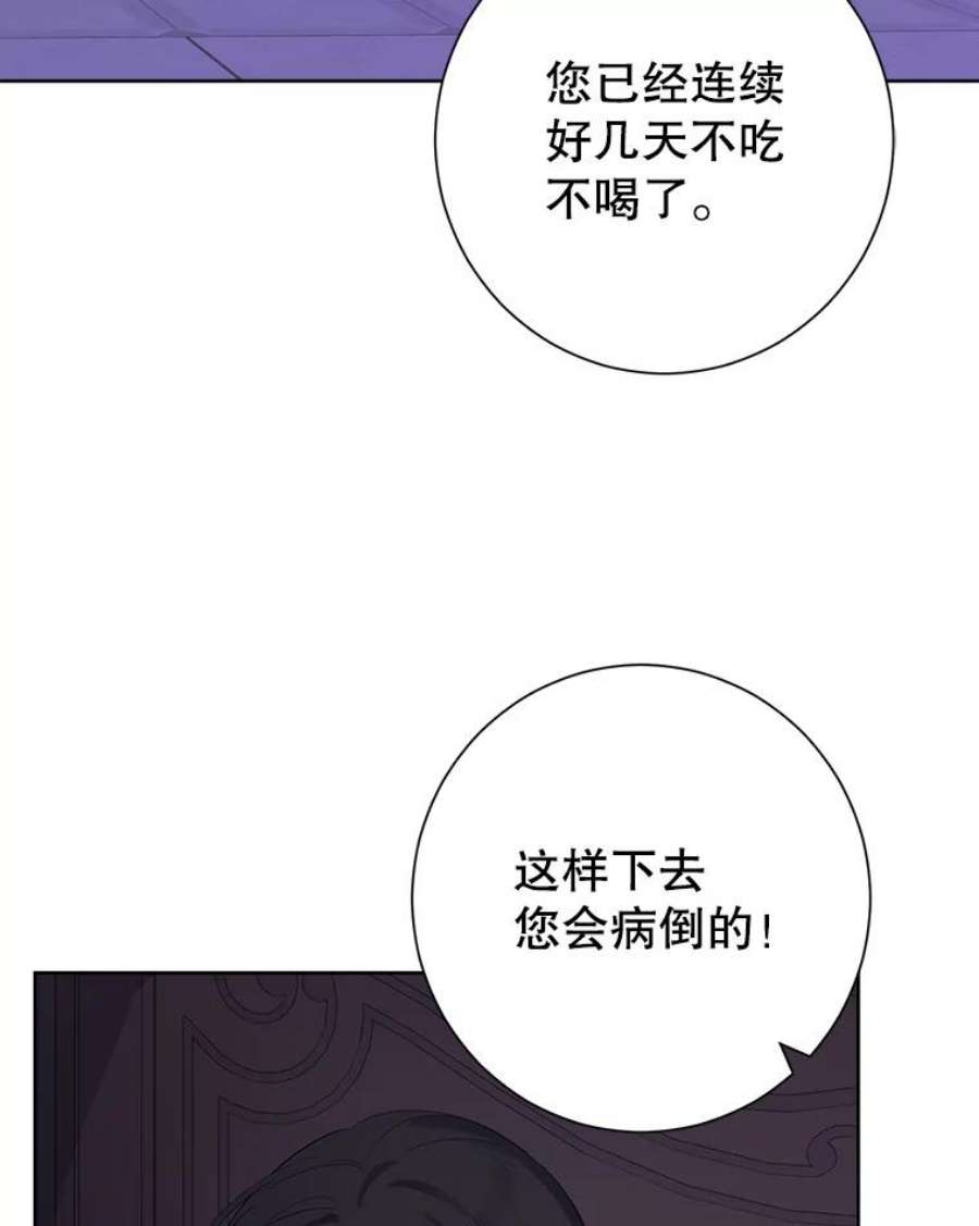 真与假的精灵师少女42.骑士的守护