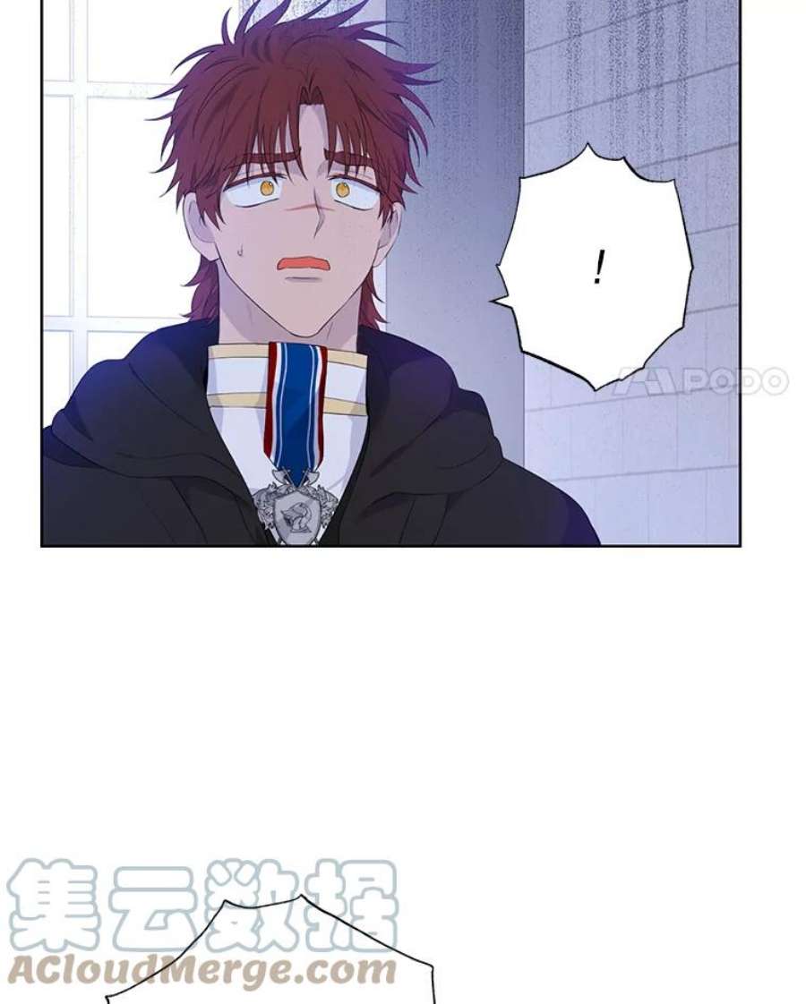 真与假的精灵师少女42.骑士的守护