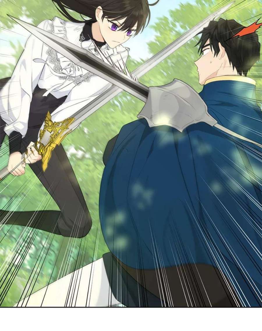 真与假的精灵师少女42.骑士的守护