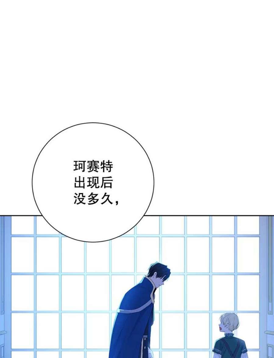 真与假的精灵师少女42.骑士的守护