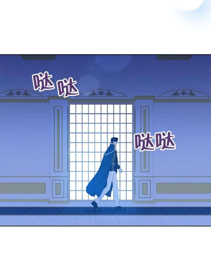 真与假的精灵师少女42.骑士的守护