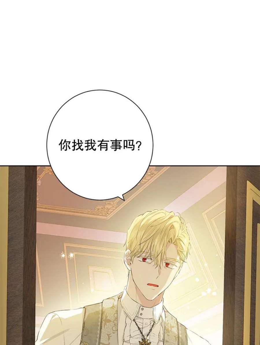 真与假的精灵师少女42.骑士的守护