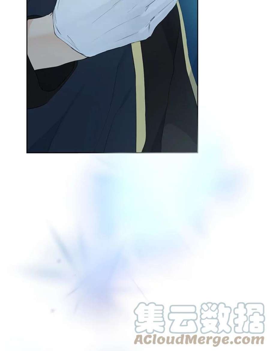 真与假的精灵师少女43.成为你的骑士