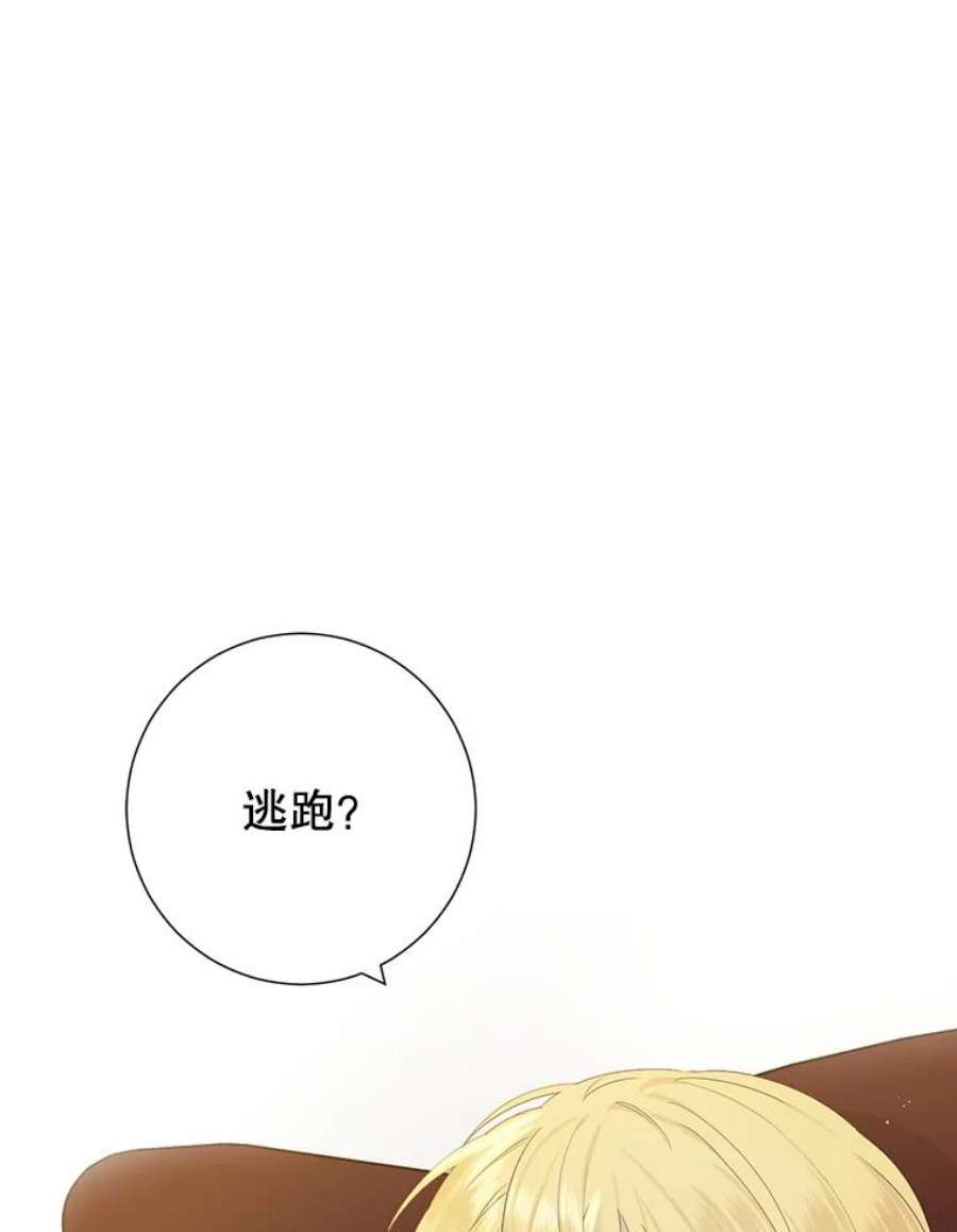 真与假的精灵师少女43.成为你的骑士