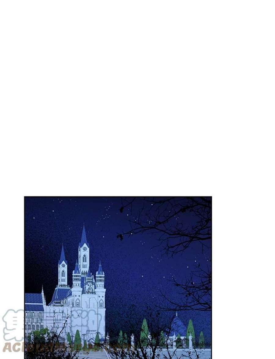 真与假的精灵师少女43.成为你的骑士