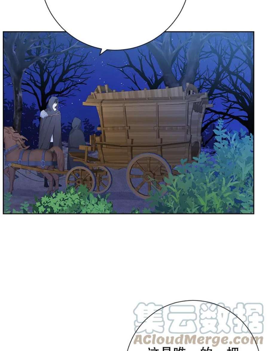 真与假的精灵师少女43.成为你的骑士