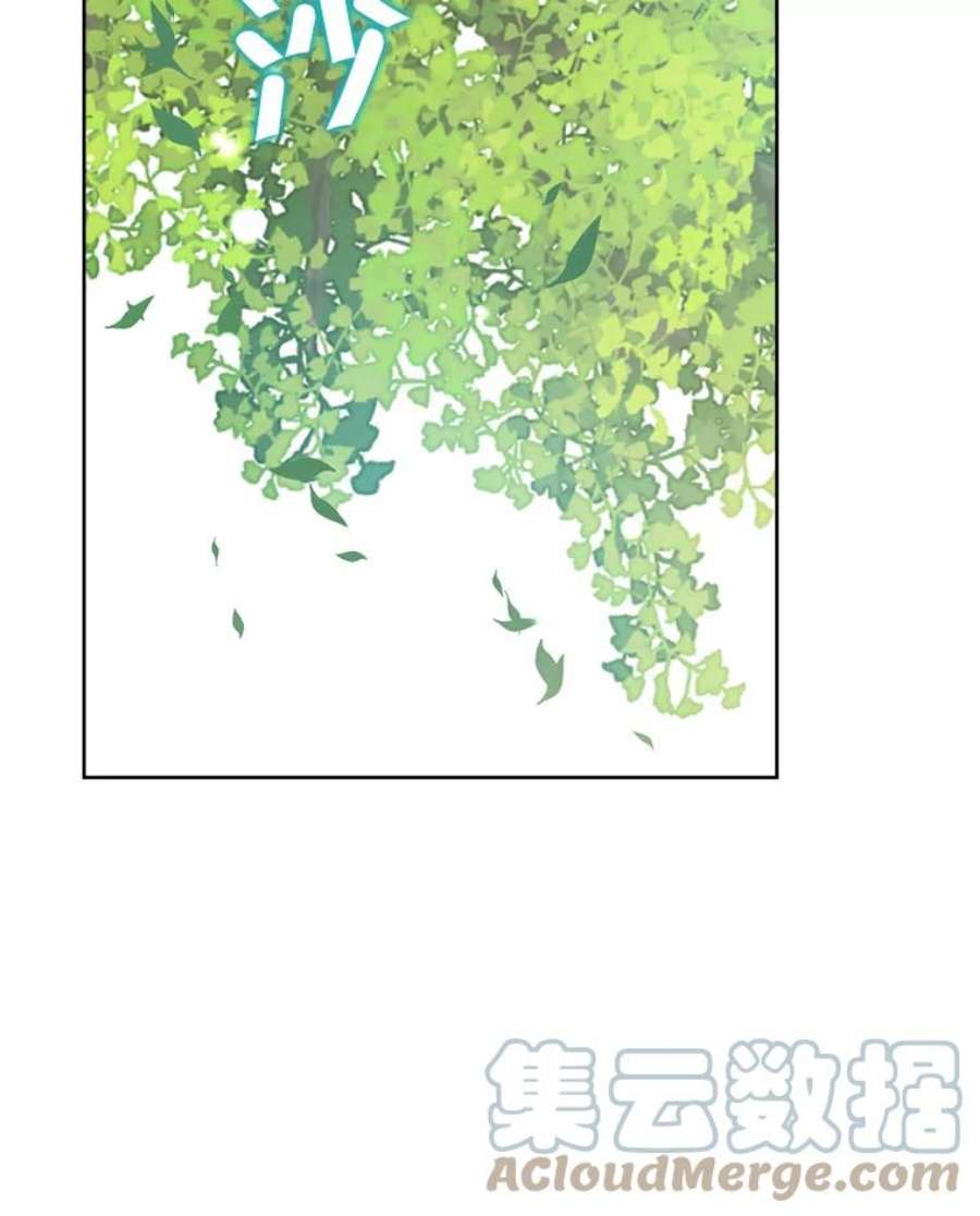 真与假的精灵师少女43.成为你的骑士