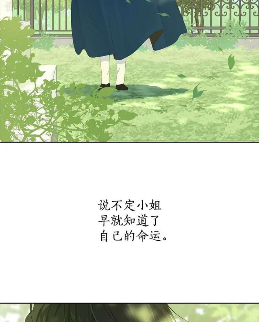 真与假的精灵师少女43.成为你的骑士