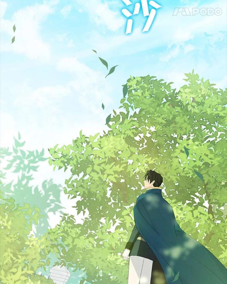 真与假的精灵师少女43.成为你的骑士