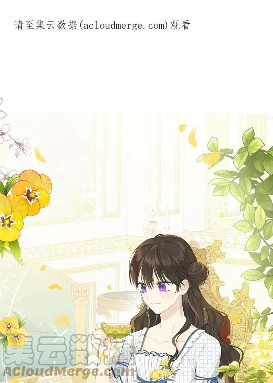 真与假的精灵师少女44.正面相遇