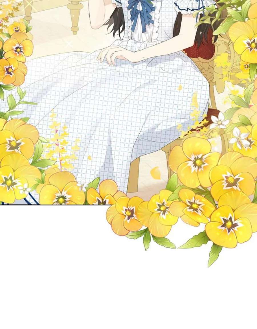 真与假的精灵师少女44.正面相遇