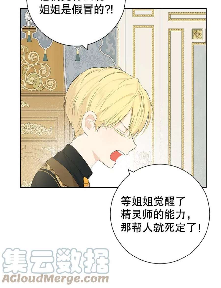 真与假的精灵师少女44.正面相遇