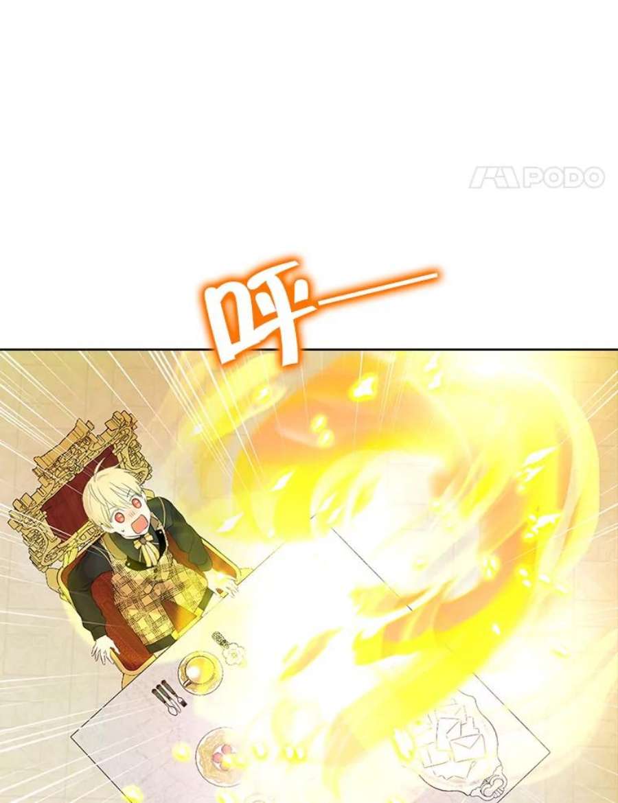 真与假的精灵师少女44.正面相遇