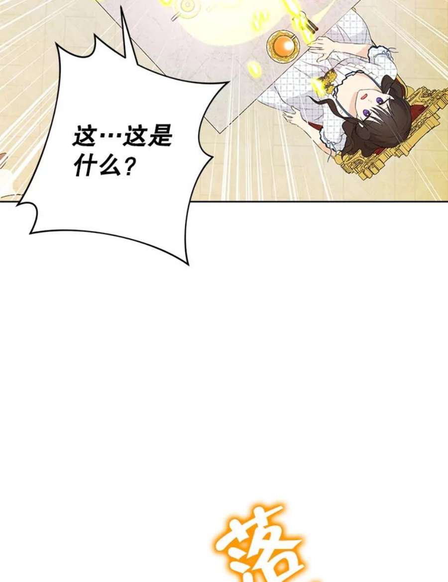 真与假的精灵师少女44.正面相遇