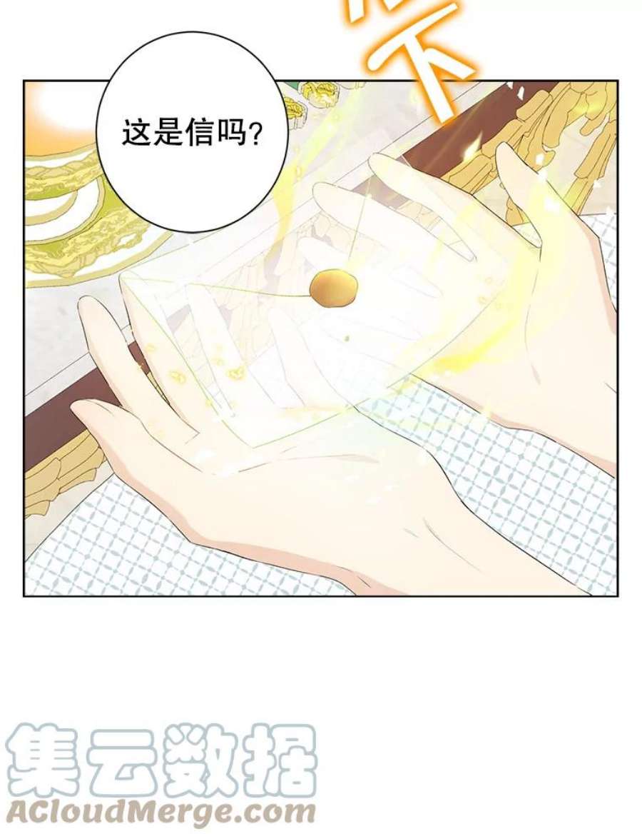 真与假的精灵师少女44.正面相遇