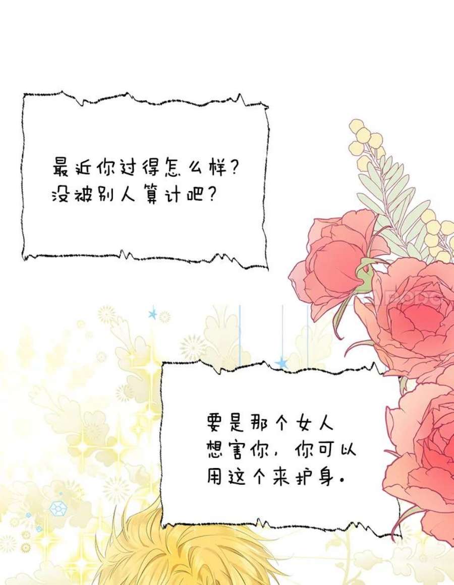 真与假的精灵师少女44.正面相遇