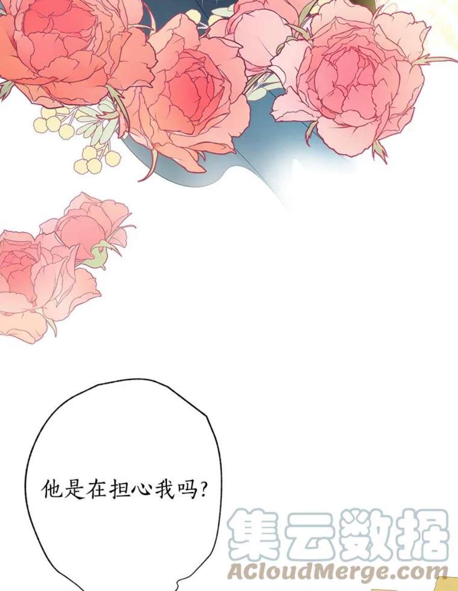 真与假的精灵师少女44.正面相遇