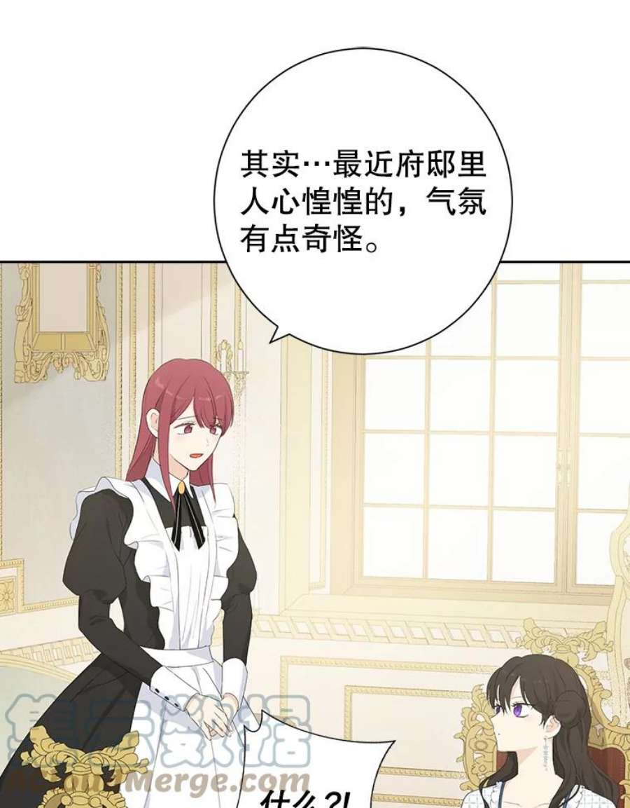 真与假的精灵师少女44.正面相遇