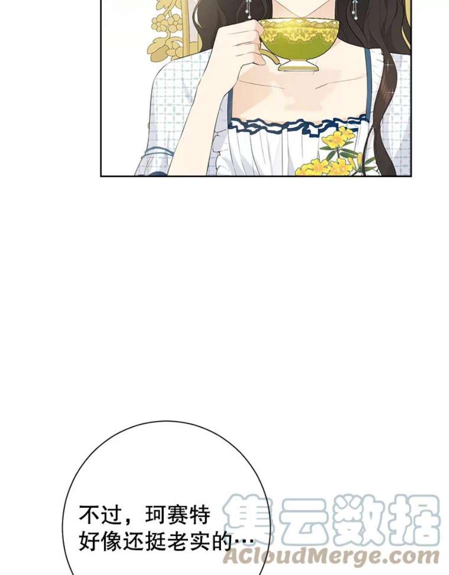 真与假的精灵师少女44.正面相遇