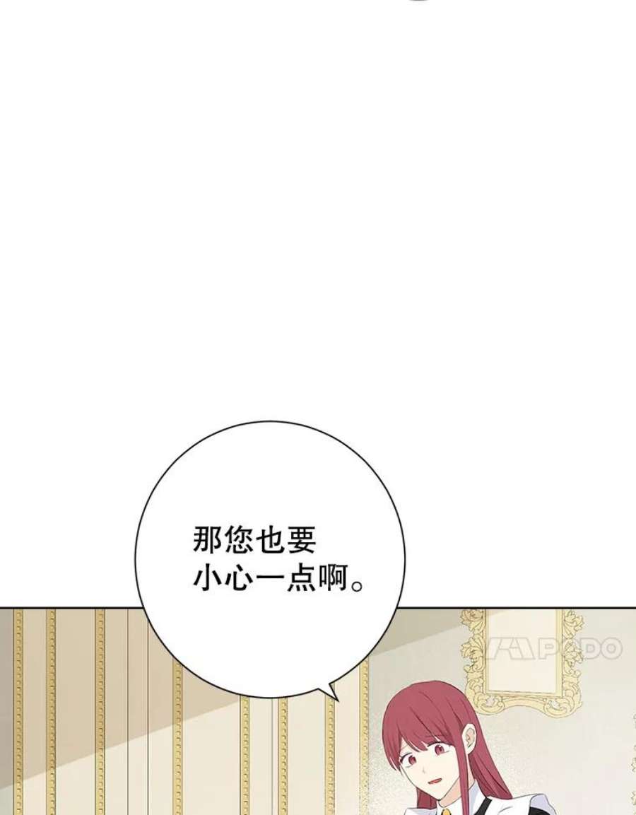 真与假的精灵师少女44.正面相遇