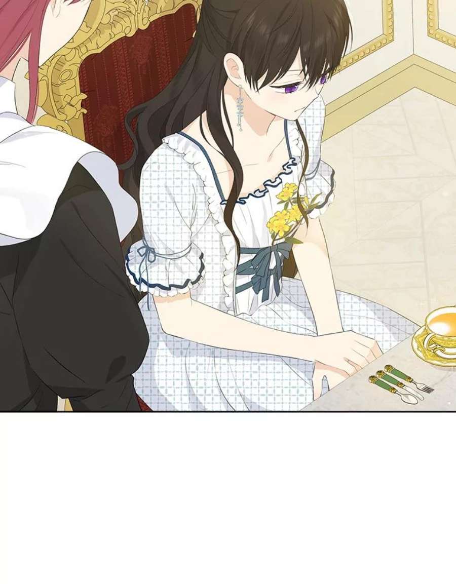 真与假的精灵师少女44.正面相遇