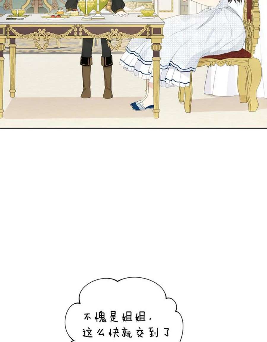 真与假的精灵师少女44.正面相遇