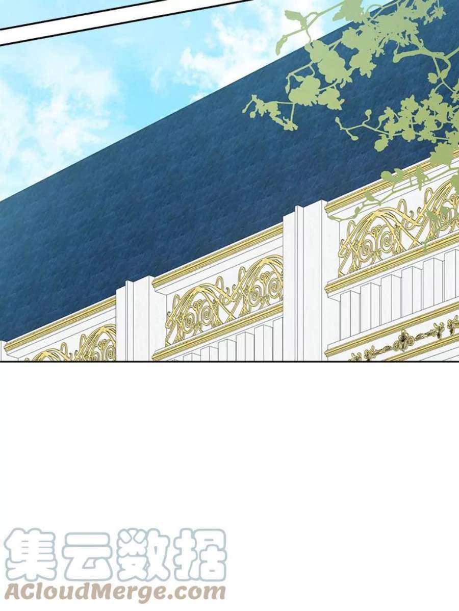 真与假的精灵师少女44.正面相遇