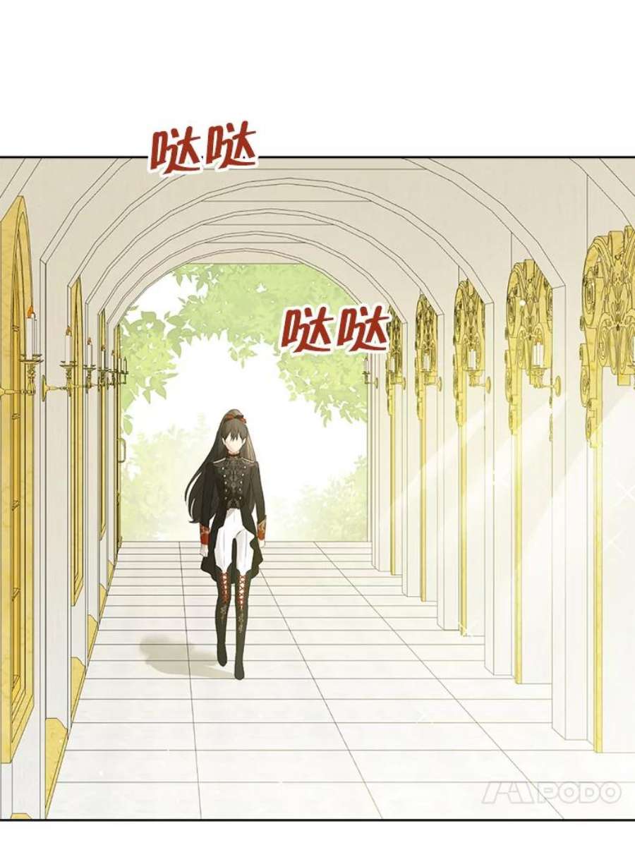 真与假的精灵师少女44.正面相遇