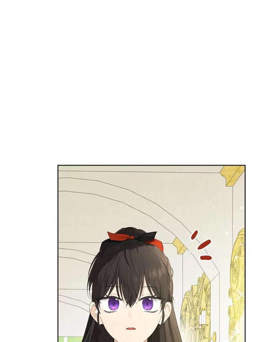 真与假的精灵师少女44.正面相遇