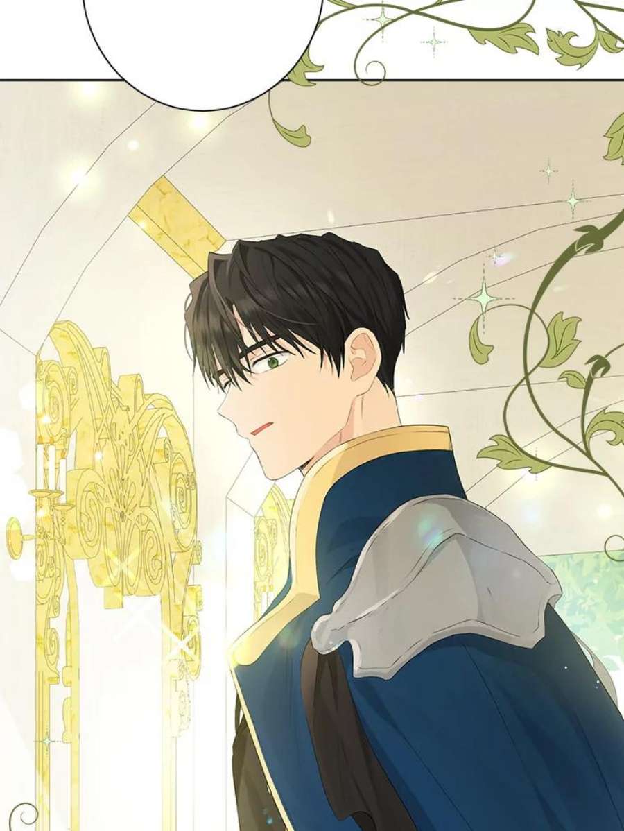 真与假的精灵师少女44.正面相遇