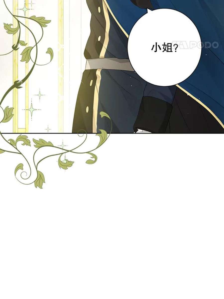 真与假的精灵师少女44.正面相遇