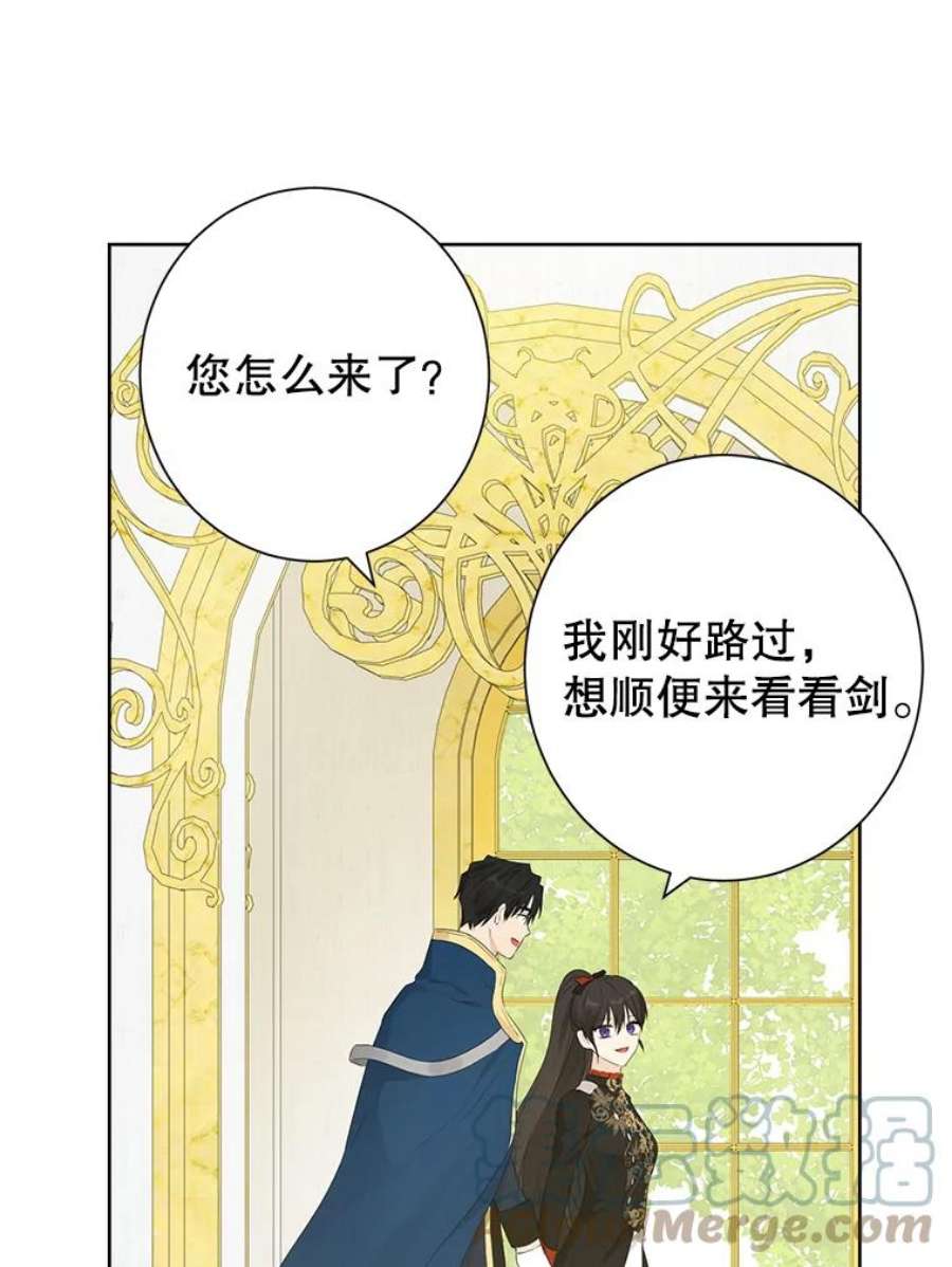 真与假的精灵师少女44.正面相遇