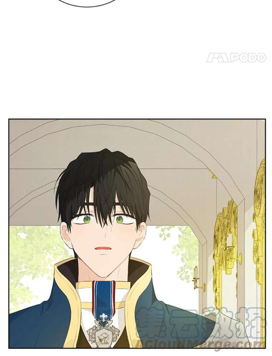 真与假的精灵师少女44.正面相遇