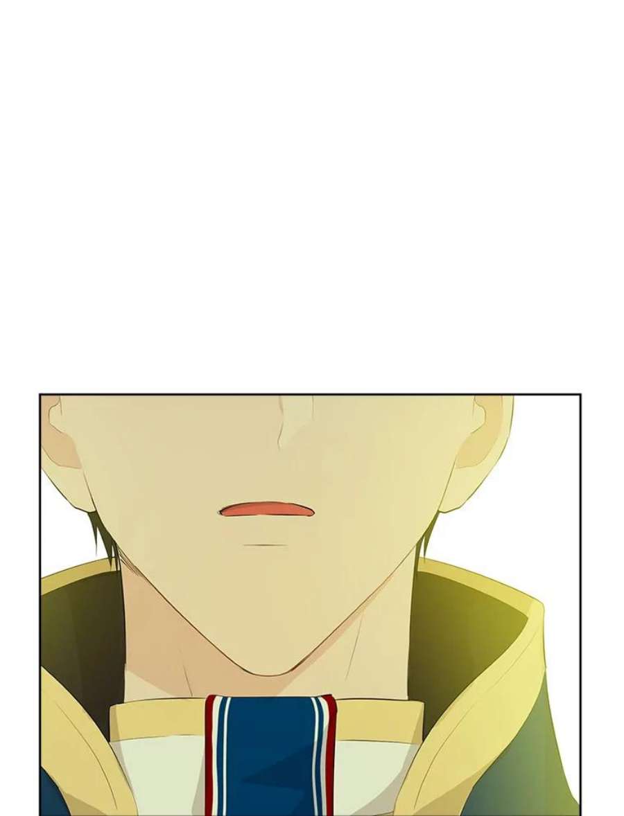 真与假的精灵师少女44.正面相遇