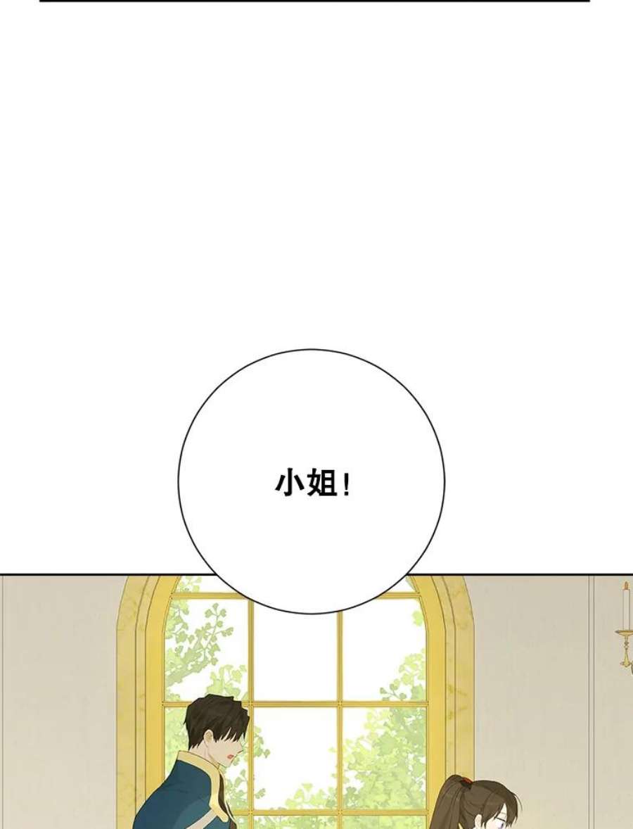 真与假的精灵师少女44.正面相遇