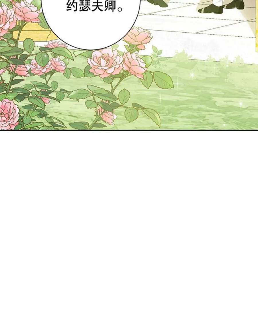 真与假的精灵师少女44.正面相遇