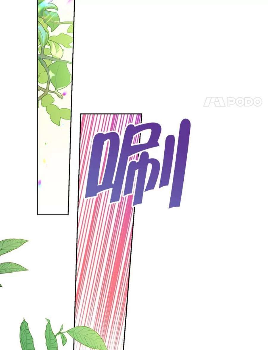 真与假的精灵师少女44.正面相遇