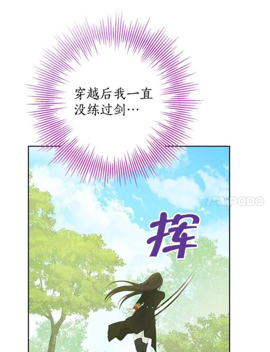 真与假的精灵师少女44.正面相遇