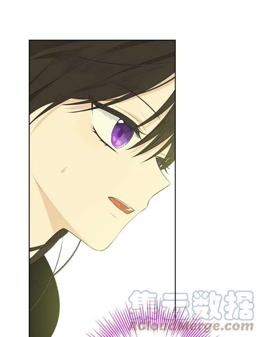 真与假的精灵师少女44.正面相遇