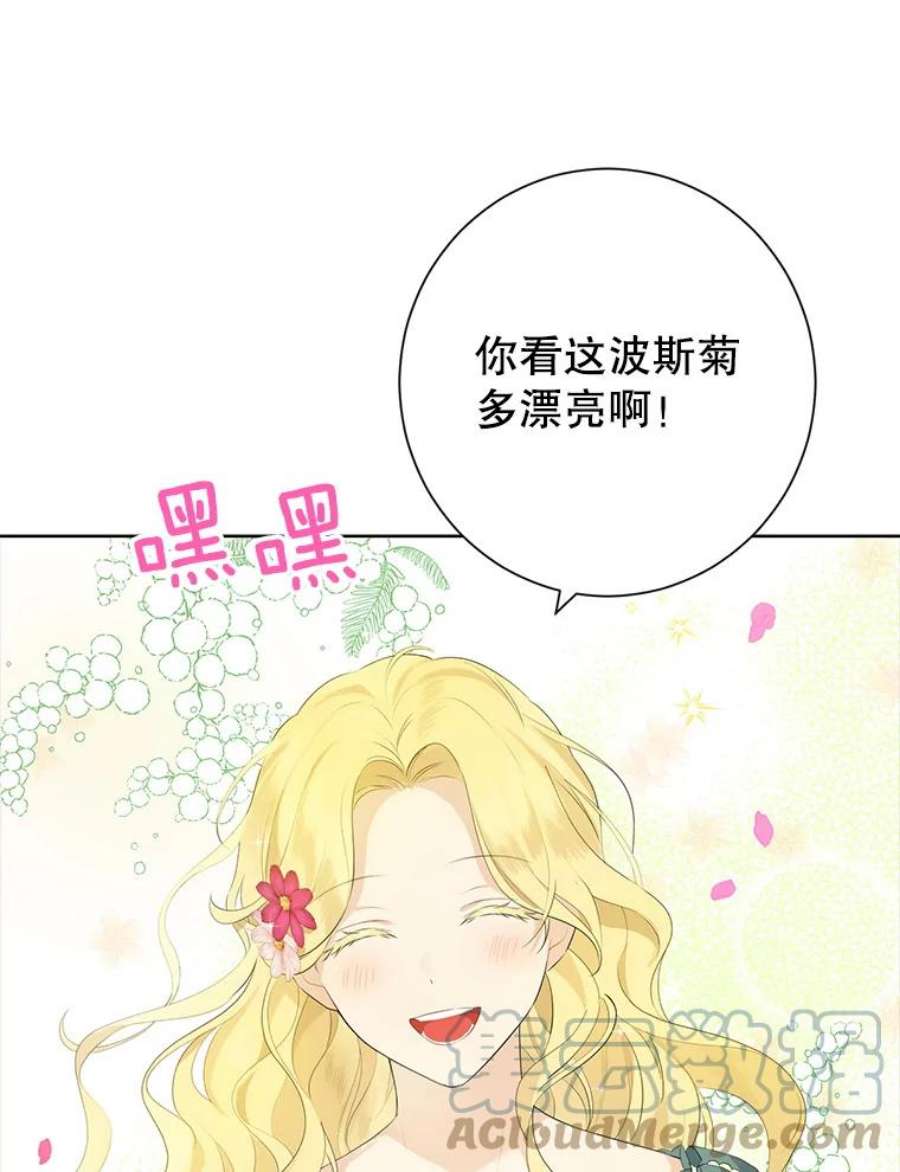 真与假的精灵师少女44.正面相遇