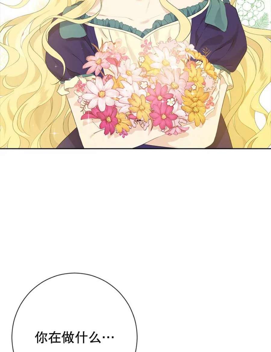 真与假的精灵师少女44.正面相遇