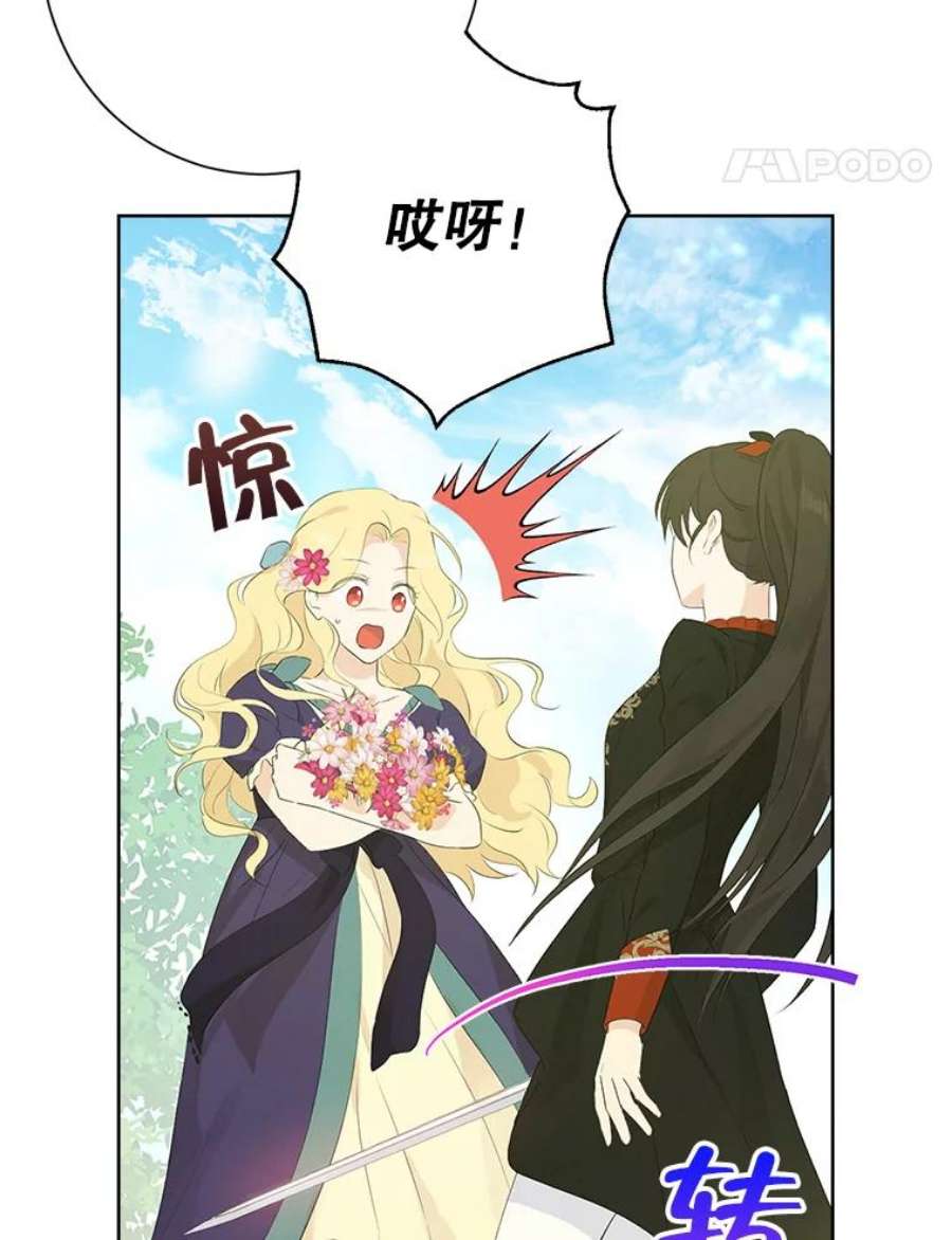 真与假的精灵师少女44.正面相遇