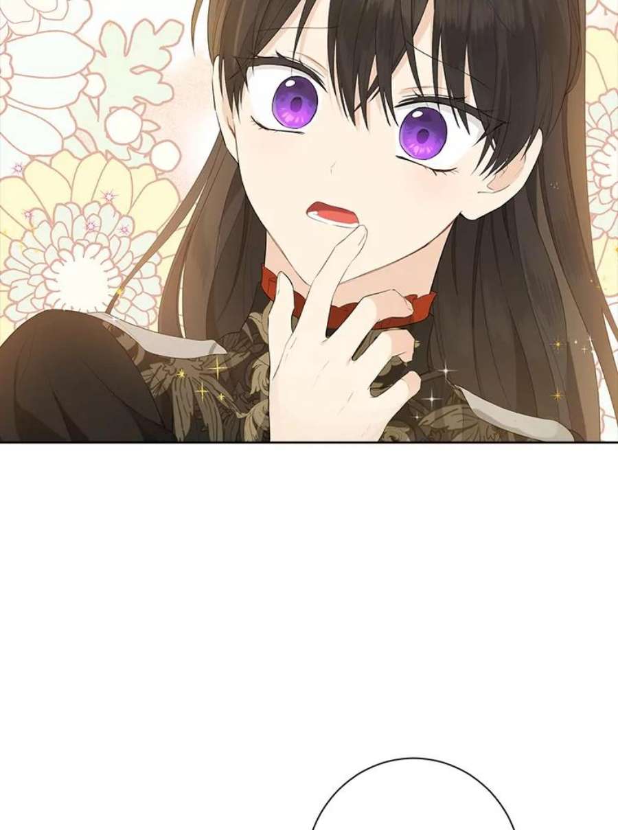 真与假的精灵师少女45.你才是假的