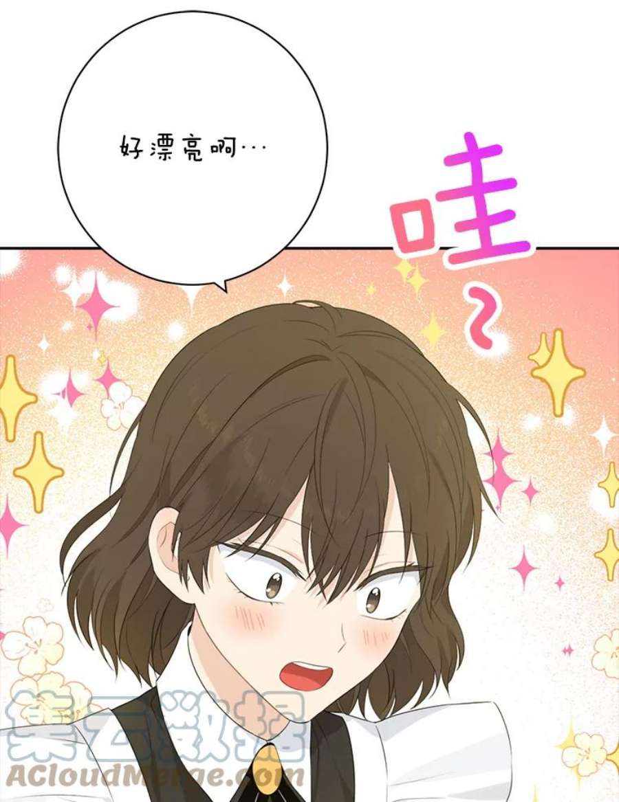 真与假的精灵师少女46.侍女叛变了？